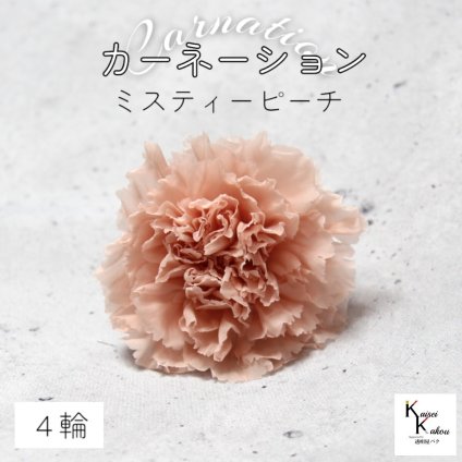 大地農園！ プリザーブドフラワー 「カーネーション　ミスティーピーチ　4輪」プリザ ドライフラワー 花材 装飾 ハーバリウム 母の日 おしゃれ かわいい プレゼント 贈り物 オオチノウエン