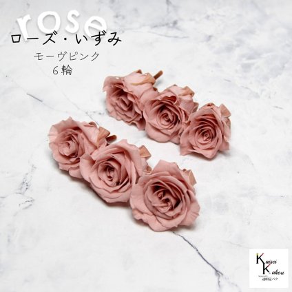 大地農園！プリザーブドフラワー 「ローズいずみ 6輪 モーヴピンク」プリザ 花材 ハーバリウム おしゃれ かわいい プレゼント 贈り物　オオチノウエン バラ 薔薇 ローズ rose