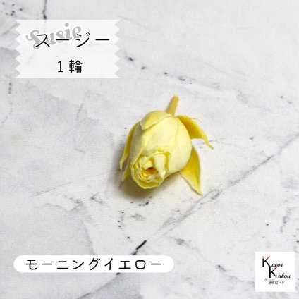 大地農園！プリザーブドフラワー 「スージー モーニングイエロー 1輪」プリザ 花材 ハーバリウム おしゃれ かわいい プレゼント 贈り物　オオチノウエン