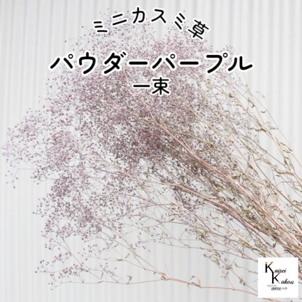 宅急便で発送 大地農園！プリザーブドフラワー「ミニカスミ草 パウダーグリーン 一束」プリザ カスミ草　カスミソウ 花材 ハーバリウム おしゃれ かわいい プレゼント 贈り物　オオチノウエン