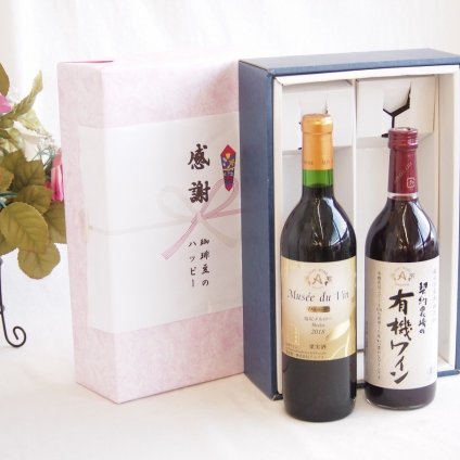 感謝の贈り物ボックス長野県塩尻市の名門ワイナリー赤ワインと国産ワインセット(酸化防止剤無添加 契約農場の有機赤ワイン やや甘口(長野県)720mlアルプスミュゼ ダイナスティ 塩尻メルロー2018赤ワイン