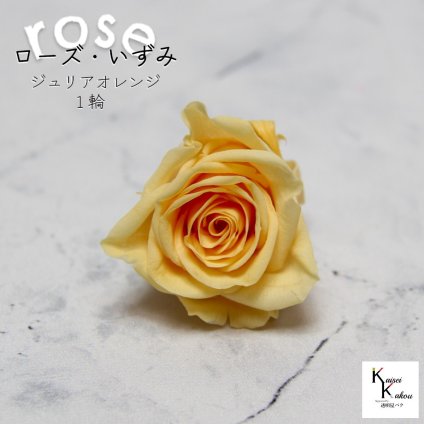 大地農園！プリザーブドフラワー 「ローズいずみ 1輪 ジュリアオレンジ」プリザ 花材 ハーバリウム おしゃれ かわいい プレゼント 贈り物　オオチノウエン バラ 薔薇 ローズ rose