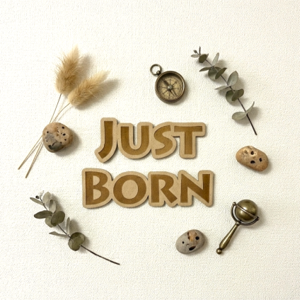 【送料無料】木製 レター バナー〈Just Born〉ニューボーンフォト アイテム 寝相アート 月齢アート ウッドバナー 新生児 赤ちゃん ベビー グッズ 記念写真 背景 小物 インスタ映え sns映え マタニティ ウッド 誕生 出産 準備 月齢 カード 誕生日 Birthday たんじょう 子供 ギフト New [L]