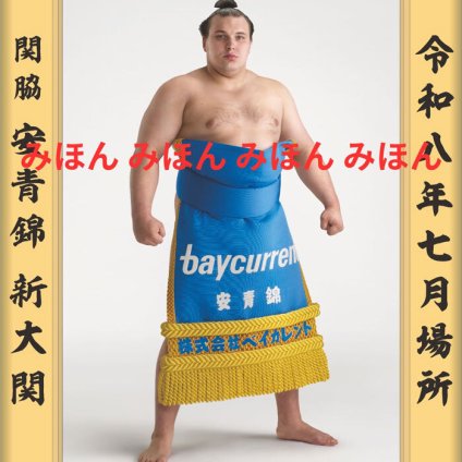 安青錦 新大 関　優勝ミニ額 大相撲ミニ額 大相撲優勝額　令和８（２０２６）年７月場所 優勝 関脇 安青錦 関（３回目）優勝記念品 相撲グッズ 力士グッズ 相撲取りグッズ 国技館 限定品 記念品 コレクション 写真 R0807