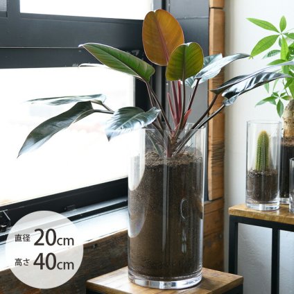 FOYER ホワイエ PVシリンダー 直径20cm×高さ40cm