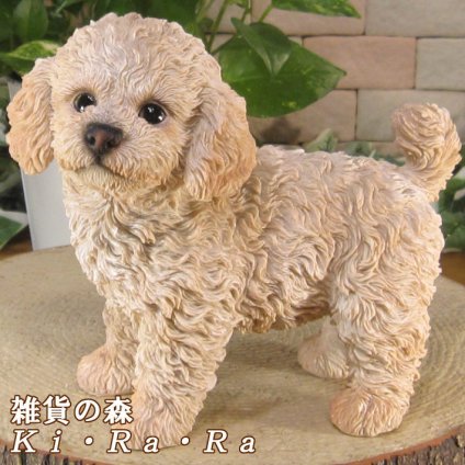 犬　置物 リアル　プードル スタンド クリーム　動物オブジェ　ガーデン　オーナメント　店舗　カウンター　装飾　オブジェ　インテリア　玄関先　庭　いぬ好きさん人気ギフト　動物人気ギフト　クリスマスプレゼント　お誕生日祝い　母の日人気　父の日人気　敬老の日人気