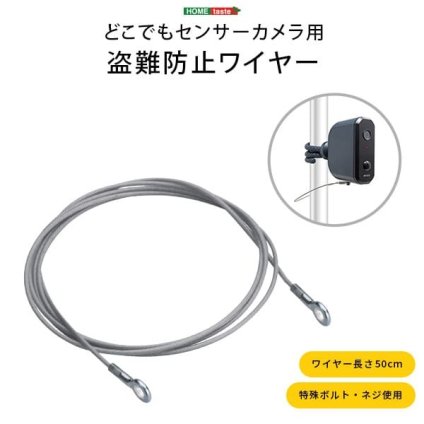 ガーデン エクステリア 乾電池式どこでもセンサーカメラ用 盗難防止ワイヤー 新生活