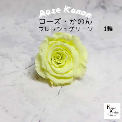 大地農園！プリザーブドフラワー 「ローズかのんL フレッシュグリーン 1輪」プリザ 花材 ハーバリウム おしゃれ かわいい プレゼント 贈り物　オオチノウエン