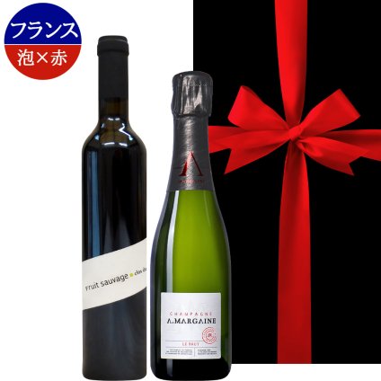 お歳暮 お酒 ワインとシャンパン 2本セット フランス ローヌ オーガニック ビオ BIO 赤ワイン 500ml パーカーポイント高得点 シャンパーニュ泡 辛口 375ml ハーフボトル 誕生日 内祝い お返し 家族 友人 熨斗可 ギフト箱付 送料無料