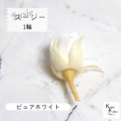大地農園！プリザーブドフラワー 「スージー ピュアホワイト 1輪」プリザ 花材 ハーバリウム おしゃれ かわいい プレゼント 贈り物　オオチノウエン