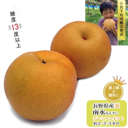 糖度13度以上 長野県産 梨 南水 プレミアム 贈答用 果物 フルーツ お取り寄せ 産地直送 【送料無料(一部地域除く)】
