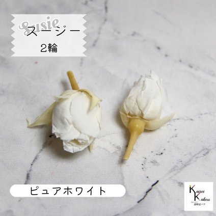 大地農園！プリザーブドフラワー 「スージー ピュアホワイト 2輪」プリザ 花材 ハーバリウム おしゃれ かわいい プレゼント 贈り物　オオチノウエン