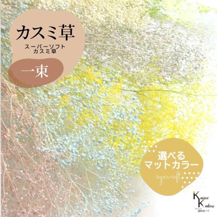 メール便で発送 「大地農園 スーパーソフトミニカスミ草 選べるマットカラー 一束」 ドライフラワー 花材 ハーバリウム 素材 小さいお花 アレンジメント ギフト 母の日 お誕生日 オオチノウエン プリザーブドフラワー プリザーブド プリザ かすみそう カスミ ハンドメイド