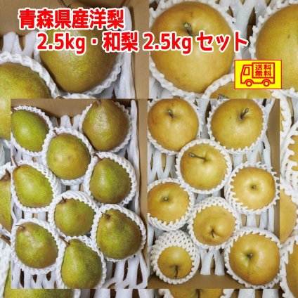 青森県産　洋梨2.5ｋｇ・和梨2.5ｋｇ　合計５ｋｇ　お得セット