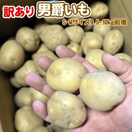じゃがいも 訳あり北海道 じゃがいも 男爵いも S-Mサイズ 9.5-10kg前後 送料無料 ※沖縄は送料別途加算