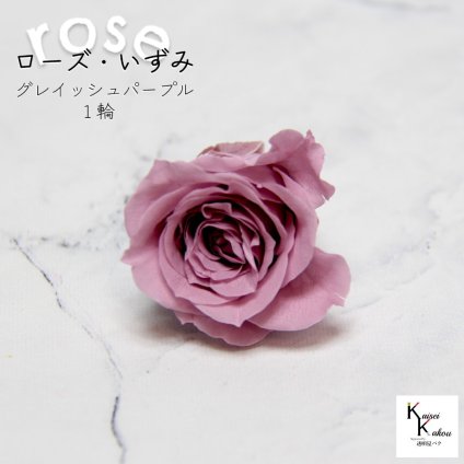 大地農園！プリザーブドフラワー 「ローズいずみ 1輪 グレイッシュパープル」プリザ 花材 ハーバリウム おしゃれ かわいい プレゼント 贈り物　オオチノウエン バラ 薔薇 ローズ rose