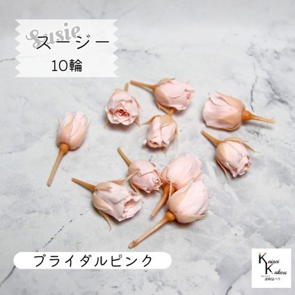 大地農園！プリザーブドフラワー 「スージー ブライダルピンク 10輪」プリザ 花材 ハーバリウム おしゃれ かわいい プレゼント 贈り物　オオチノウエン