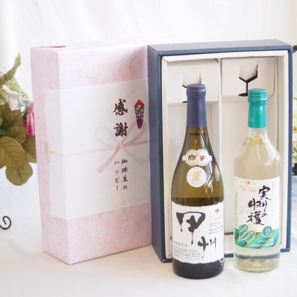 感謝の贈り物ボックス 山梨県甲州種ぶどう100%使用白ワインと国産ワインセット(実りの収穫 白辛口ワイン 辛口(山梨県)720mlシャンモリ柑橘香御坂甲州白ワイン(山梨県)750ml