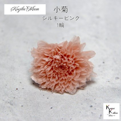 大地農園「小菊 シルキーピンク 1輪」プリザーブドフラワー　プリザ　ハーバリウム　小花 ドライフラワー ハーバリウム アロマワックスバー