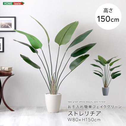 お手入れ簡単 フェイクグリーン ストレリチア Mサイズ(150cm) 新築祝い 開店祝い