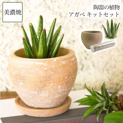 SERA　SABO 陶器のサボテン アガベ　アメリカーナ キットセット （鉢・ストーン付） ( フェイクグリーン インテリア 多肉植物 陶器の植物 ギフト 美濃焼 結婚 出産 内祝い 引き出物 金婚式 誕生日プレゼント 還暦祝い 古希 喜寿 米寿 退職 定年 プレゼント お祝い お返し ) 