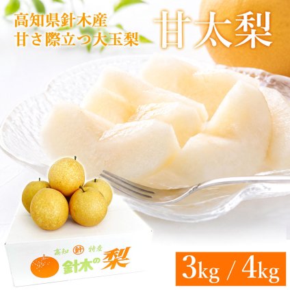 甘太 梨 高知県針木産 約3kg（大玉5～6玉）糖度15度前後 甘くて大きい 希少品種 新品種 大玉 和梨 産地直送 高知産 家庭用 贈答用 ギフト お取り寄せ 高知県針木地区の梨農家から甘さ際立つ希少な甘太を産地直送でお届けします【送料無料】[ヤマト発送]