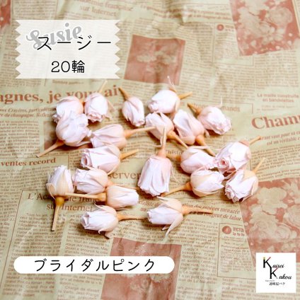 大地農園！プリザーブドフラワー 「スージー ブライダルピンク 20輪」プリザ 花材 ハーバリウム おしゃれ かわいい プレゼント 贈り物　オオチノウエン