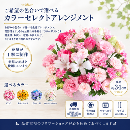 ご希望の色合いで選べる カラーセレクトアレンジメント 高さ34cm 生花 フラワーアレンジメント 花ギフト フラワーギフト 誕生日 お祝い お見舞い 送別 季節行事 お供え お悔やみ 手作り 鮮度重視 送料無料【北海道・九州・四国・中国・沖縄・離島は配送不可】