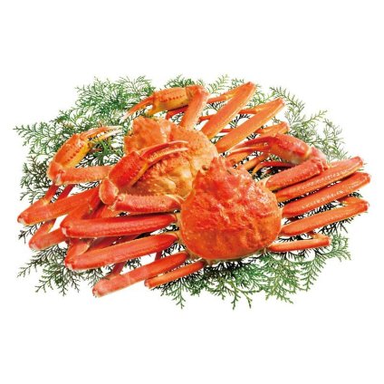 ずわい蟹2杯 (KMJ2605) ※送料無料(北海道・沖縄・離島への配送不可)
