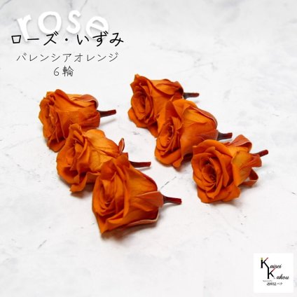 大地農園！プリザーブドフラワー 「ローズいずみ 6輪 バレンシアオレンジ」プリザ 花材 ハーバリウム おしゃれ かわいい プレゼント 贈り物　オオチノウエン バラ 薔薇 ローズ rose