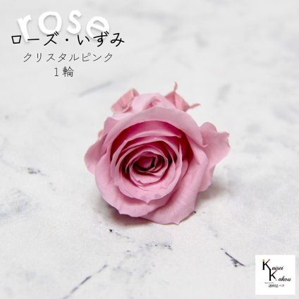 大地農園！プリザーブドフラワー 「ローズいずみ 1輪 クリスタルピンク」プリザ 花材 ハーバリウム おしゃれ かわいい プレゼント 贈り物　オオチノウエン バラ 薔薇 ローズ rose