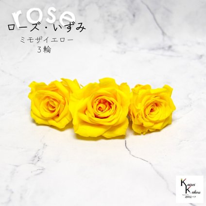 大地農園！プリザーブドフラワー 「ローズいずみ 3輪 ミモザイエロー」プリザ 花材 ハーバリウム おしゃれ かわいい プレゼント 贈り物　オオチノウエン バラ 薔薇 ローズ rose