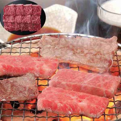 飛騨牛 焼肉 もも 450g 極上 黒毛和牛 国産 和牛 牛肉 焼き肉 もも肉 モモ A5 A4等級 ブランド牛 高級 肉 お肉 ギフト 贈答 贈り物 お中元 お歳暮 御歳暮 御中元 父の日 母の日 敬老の日 内祝い お祝い 御祝