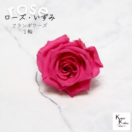 大地農園！プリザーブドフラワー 「ローズいずみ 1輪 フランボワーズ」プリザ 花材 ハーバリウム おしゃれ かわいい プレゼント 贈り物　オオチノウエン バラ 薔薇 ローズ rose
