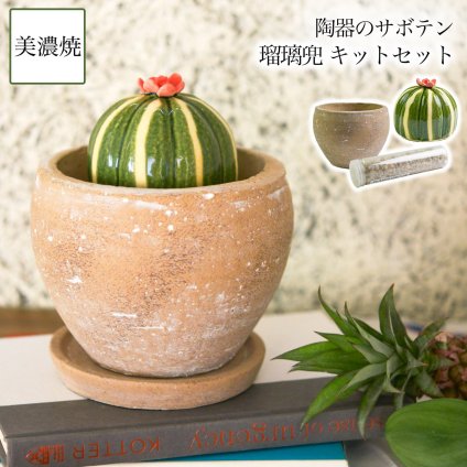 SERA　SABO 陶器のサボテン 瑠璃兜 赤色 キットセット （鉢・ストーン付） ( 即日発送 フェイクグリーン インテリア 多肉植物 陶器の植物 ギフト 美濃焼 結婚 出産 内祝い 引き出物 金婚式 誕生日プレゼント 還暦祝い 古希 喜寿 米寿 退職 定年 プレゼント お祝い お返し ) 