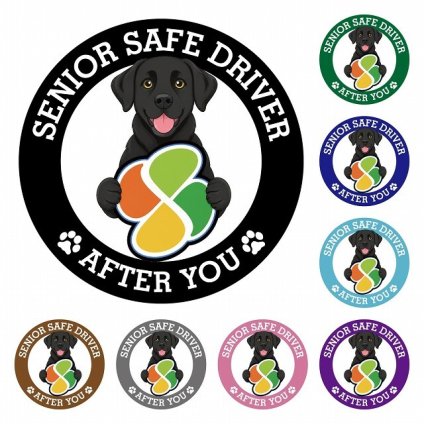 カーサイン 高齢者マーク SENIOR SAFE DRIVER ラブラドール ステッカー シール 直径13cm 肉球 日本製 車