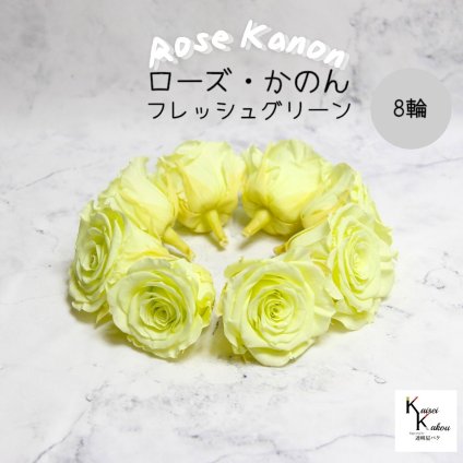 大地農園！プリザーブドフラワー 「ローズかのんL フレッシュグリーン 8輪」プリザ 花材 ハーバリウム おしゃれ かわいい プレゼント 贈り物　オオチノウエン