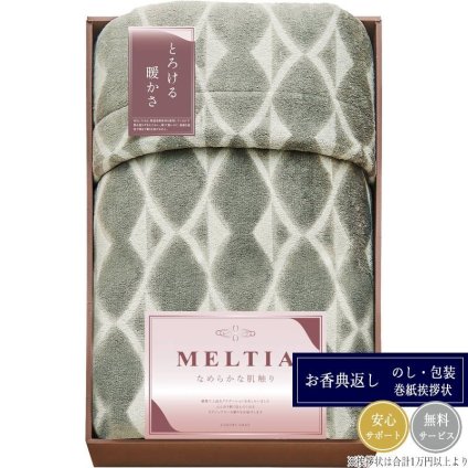 メルティア 吸湿発熱素材使用わた入毛布 VIL24150