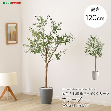 お手入れ簡単 フェイクグリーン オリーブ Sサイズ(120cm) 新築祝い 開店祝い