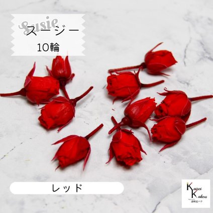 大地農園！プリザーブドフラワー 「スージー レッド 10輪」プリザ 花材 ハーバリウム おしゃれ かわいい プレゼント 贈り物　オオチノウエン