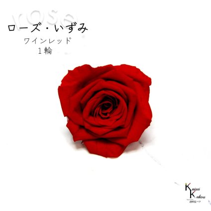 大地農園！プリザーブドフラワー 「ローズいずみ 1輪 ワインレッド」プリザ 花材 ハーバリウム おしゃれ かわいい プレゼント 贈り物　オオチノウエン バラ 薔薇 ローズ rose