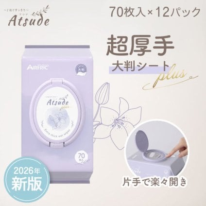 おしりふき 純水99％ 厚手 極厚 蓋つき 新生児 肌にやさしい Atsudeプラス 水分たっぷり WT007