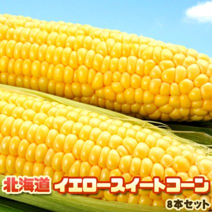 イエロースイートコーン 北海道 とうもろこし 8本入 送料無料 ※沖縄は送料別途加算