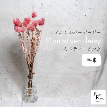 大地農園！プリザーブドフラワー 「ミニシルバーデージー ミスティーピンク 半束 」 プリザ ギフト 花材 資材 インテリア ハーバリウム プレゼント 贈り物 お見舞い シンプル 材料 フラワーアレンジ アレンジメント 手芸 工作