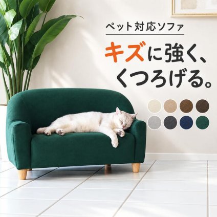 ペットソファ キッズソファ 幅83cm 撥水 日本製 Petit 2人掛け クエラ ペット用ソファ キッズチェア ローソファ コンパクトソファ 子供用椅子 猫 犬 撥水生地 傷に強い ペット家具 猫用品 犬用品 省スペース リビング インテリア おしゃれ