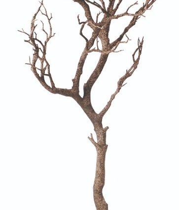 人工観葉植物　　マンザニータ93ｃｍ