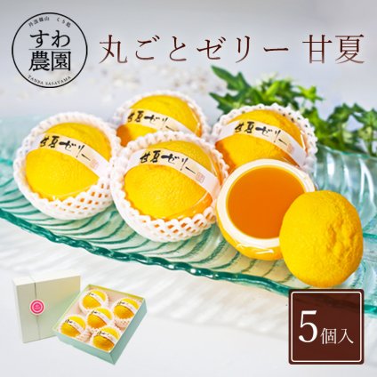 【送料無料】丸ごと フルーツ ゼリー 甘夏 5個 夏ギフト 残暑お見舞い 敬老の日 帰省 お土産 【お祝い・贈り物に！】 高級 ギフト お供え プチギフト 内祝い 小分け お礼 誕生日 職場復帰 お土産 結婚内祝い 個包装 香典 挨拶 見舞い 法要 お祝い 丹波篠山 諏訪園 お菓子 スイーツ スイーツ 洋菓子 オレンジ みかん ミカン