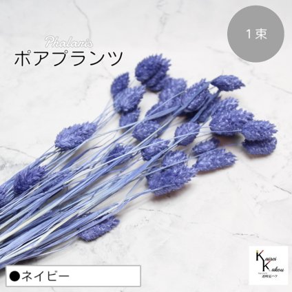 大地農園！プリザーブドフラワー 「ポアプランツ 1束 ネイビー」プリザ 花材 ハーバリウム おしゃれ かわいい プレゼント 贈り物　オオチノウエン