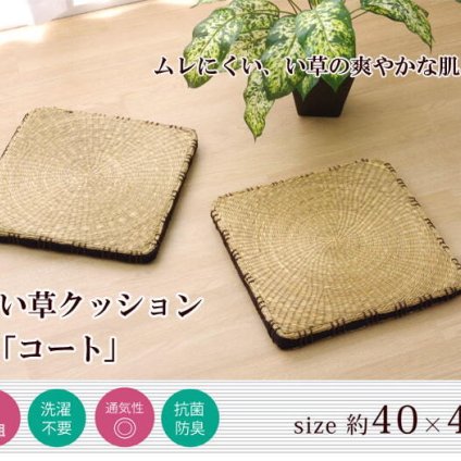 クッション 七島クッション 七島藺草 シート 『コート マチ付』 約40×40cm 2枚組