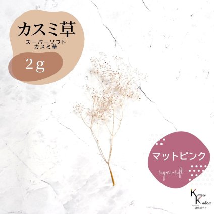 「大地農園 スーパーソフトミニカスミ草 マットピンク  2g」 ドライフラワー 花材 ハーバリウム 素材 小さいお花 アレンジメント ギフト 母の日 お誕生日 オオチノウエン プリザーブドフラワー プリザーブド プリザ かすみそう カスミ ハンドメイド